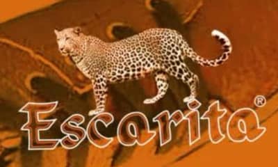 Escarita
